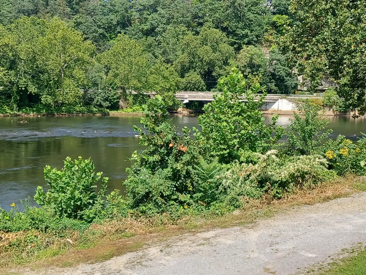 Kayaking in Saltsburg, PA
